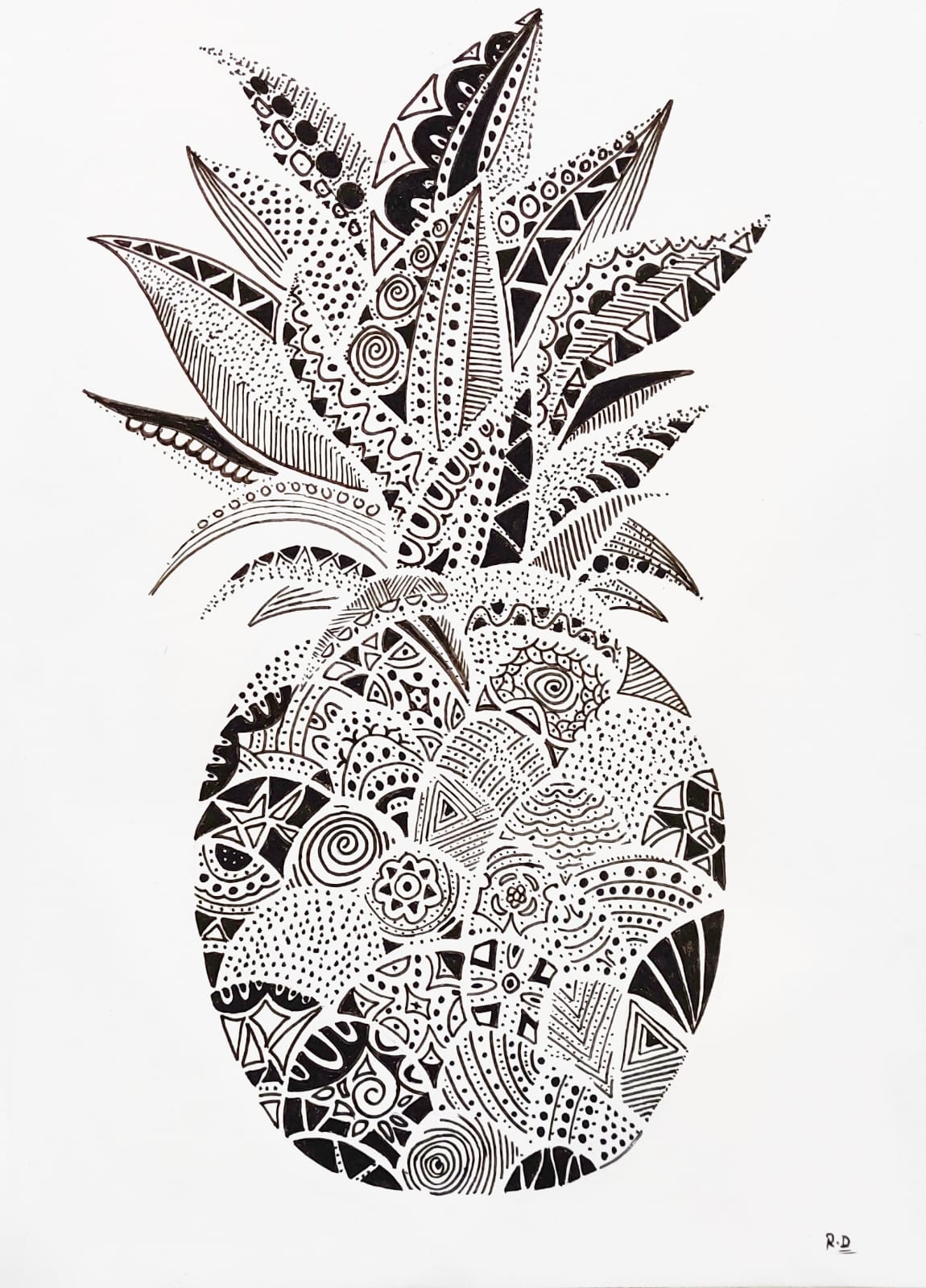 Figurative Drawing with Pen on Paper "Pineapple" art by Ritu Dua