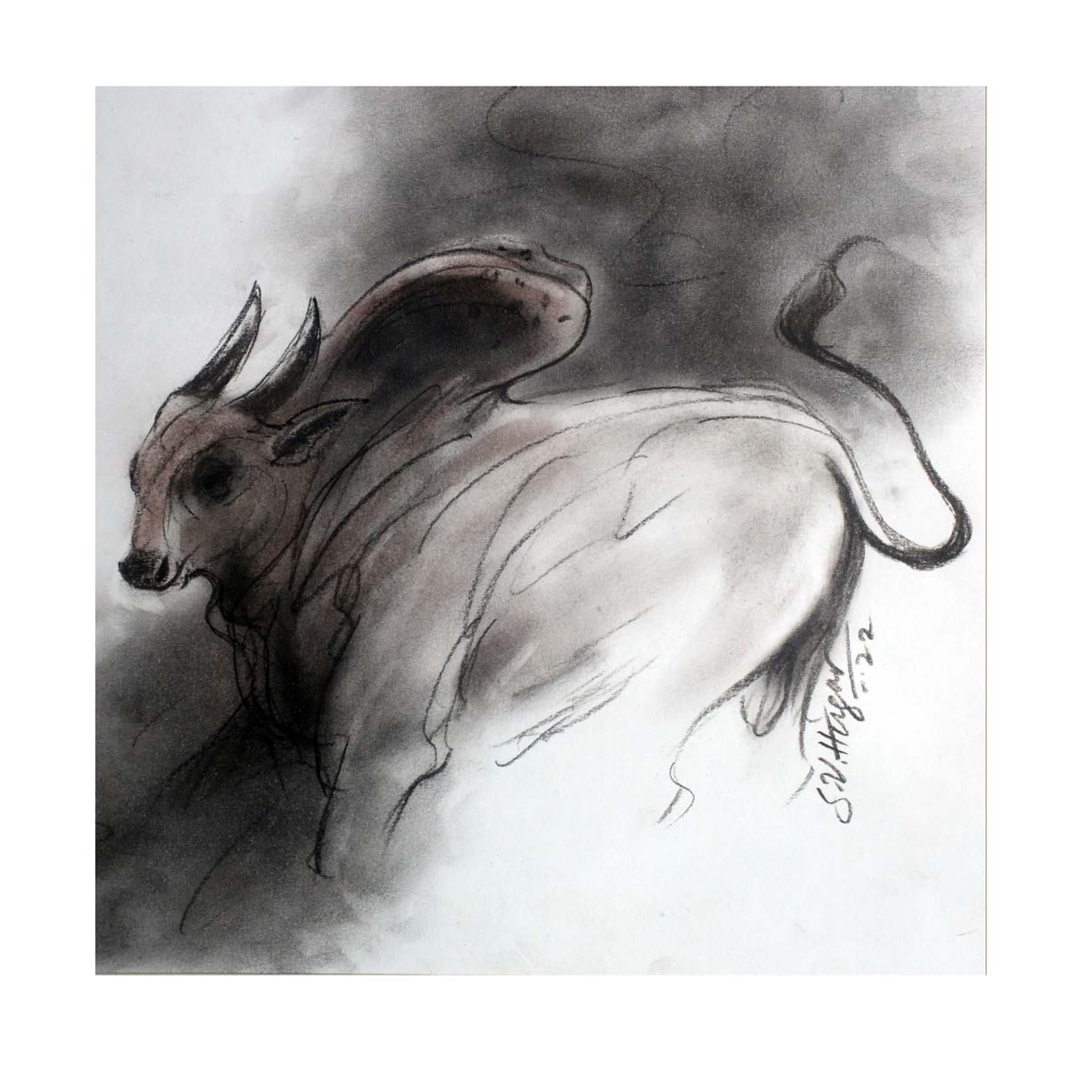 Figurative Drawing with Charcoal on Paper "Bull-8" art by S V Hugar