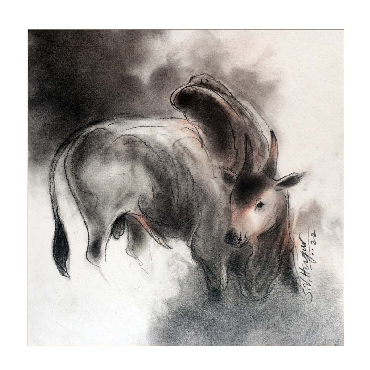 Buy Bull-5 Drawing with Charcoal on Paper by S V Hugar | IndiGalleria