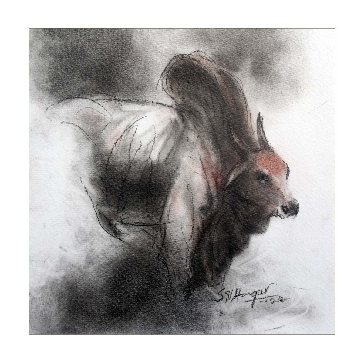 Figurative Drawing with Charcoal on Paper "Bull-6" art by S V Hugar