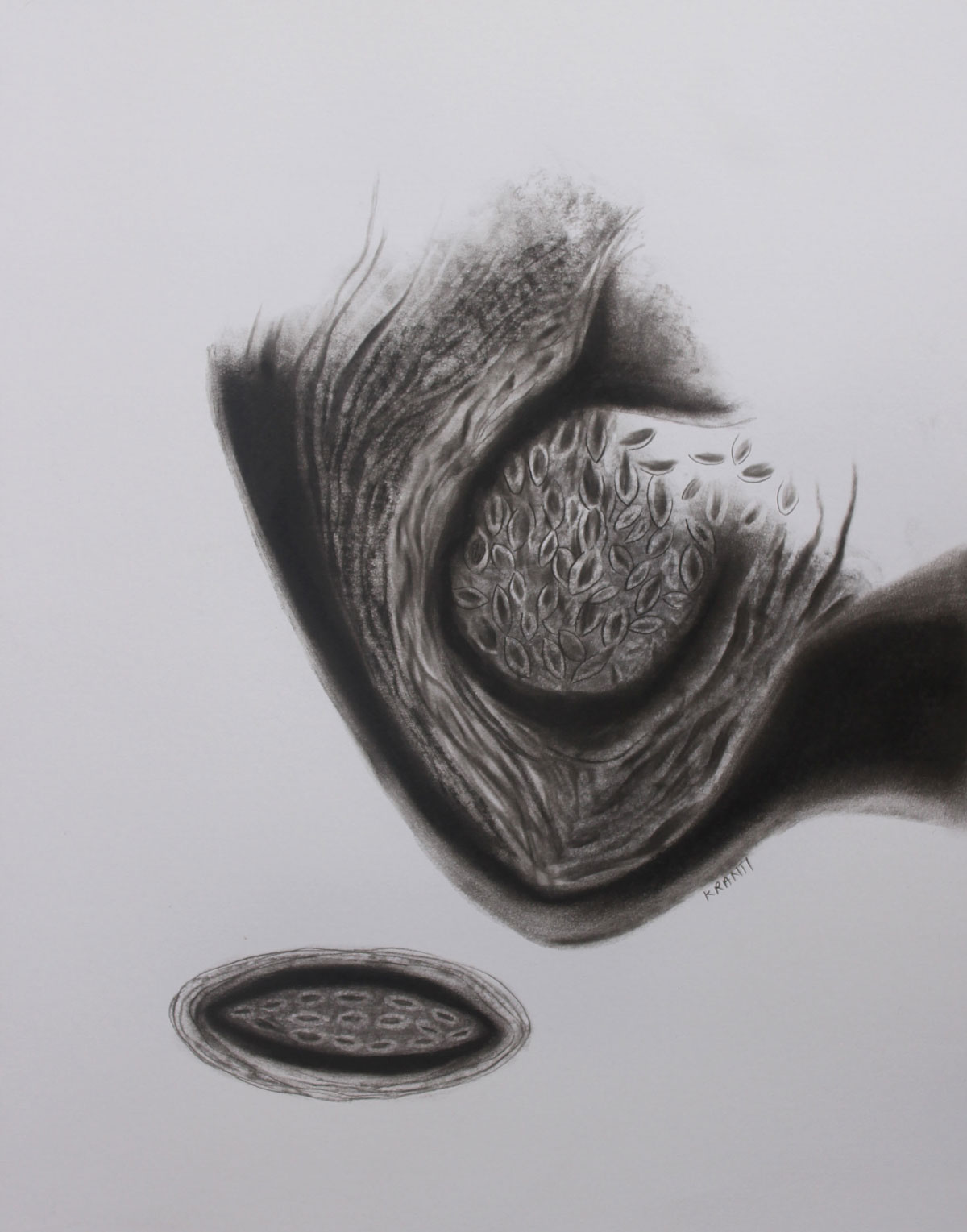 Contemporary Drawing with Charcoal on Paper "Untitled-3 (772)" art by Kranti Bankar
