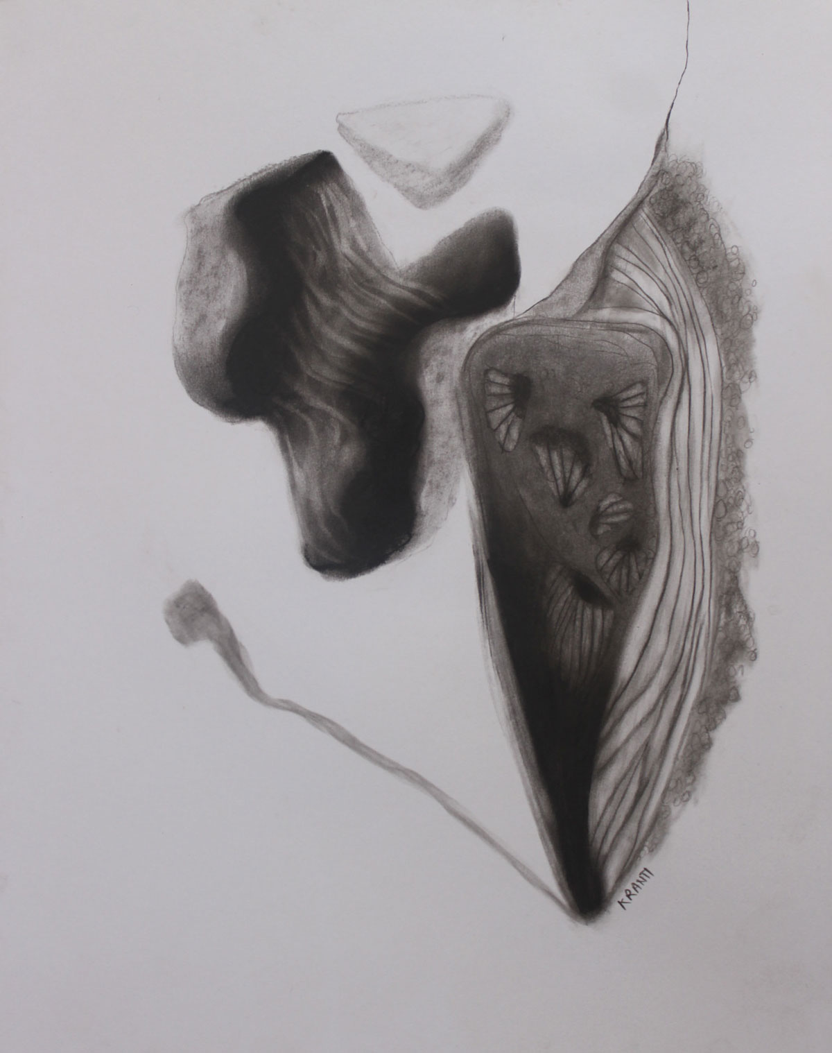 Contemporary Drawing with Charcoal on Paper "Untitled-8 (700)" art by Kranti Amit Bankar